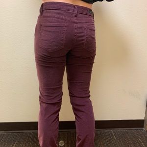 Calvin Klein Straight Cut Purple Courdery Pant